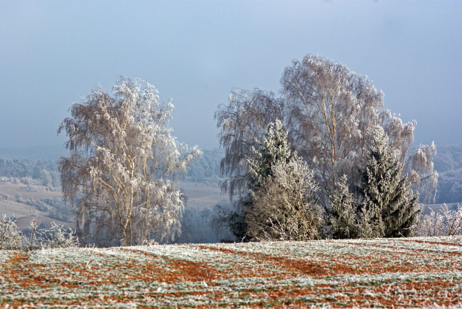 Nachdem der Nebel..