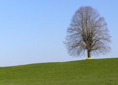 Nachdenklich