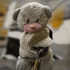 Nachdenklicher Teddy