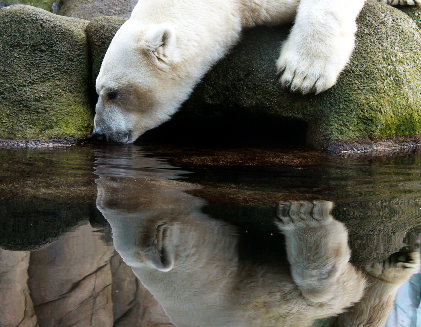 Nachdurst?