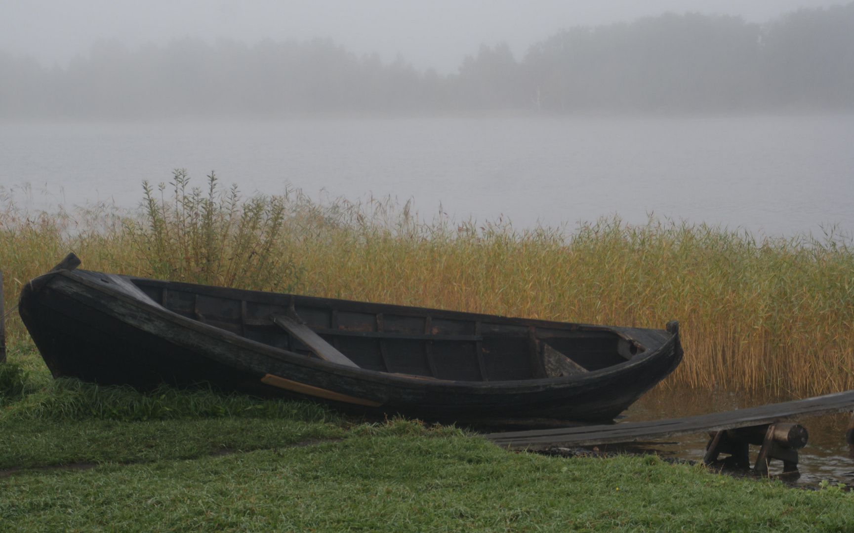 Nachen im Nebel