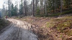 "Nachhaltige" Waldbewirtschaftung durch das Forstamt Burglengenfeld, Kreis Schwandorf, Reg.bez. Opf.