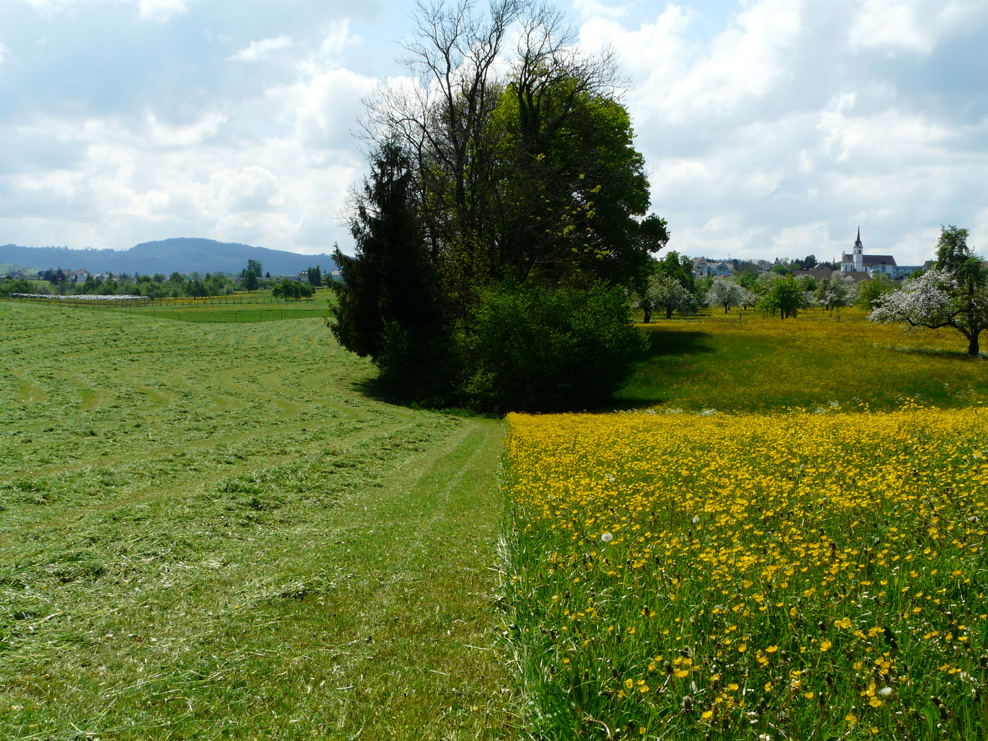 nachher - vorher