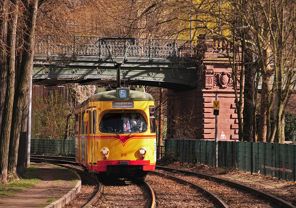 Nachlese 2008  XVI