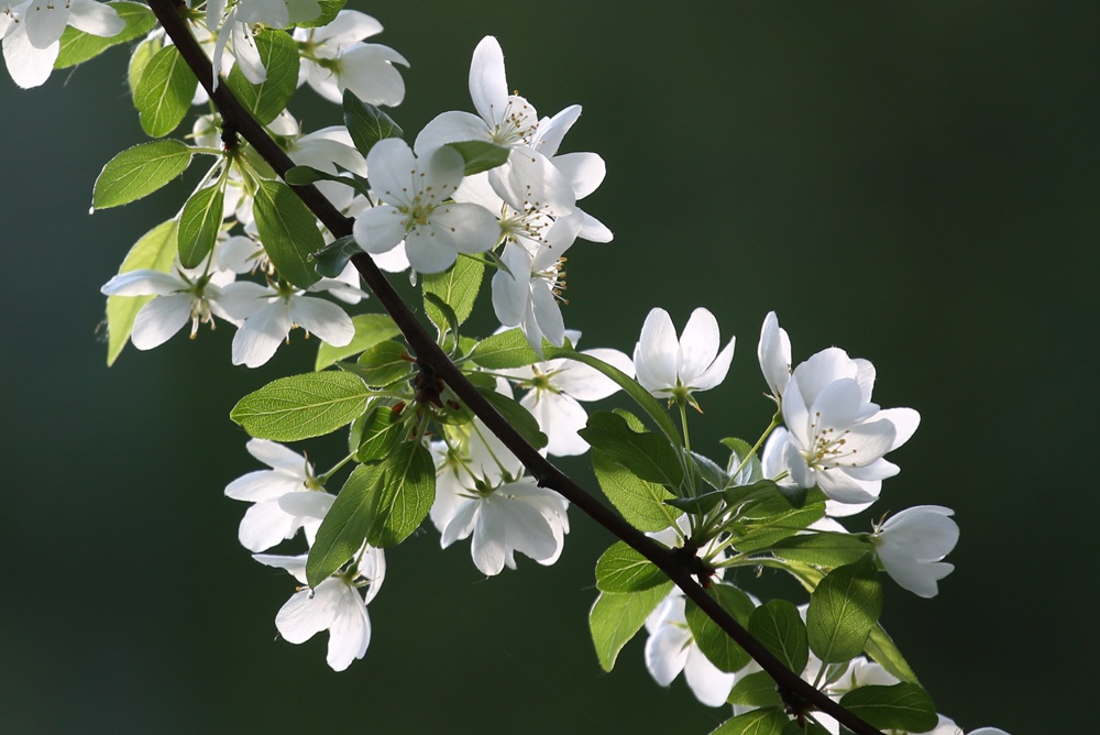 Nachlese aus April