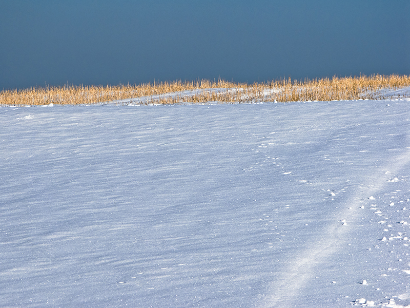 Nachlese Winter 2010/2011 - 3