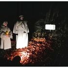 Nachlese zum 2. Advent : Auf dem Märstetter Wienachtswäg, XII