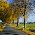 Nachlese zum Herbst