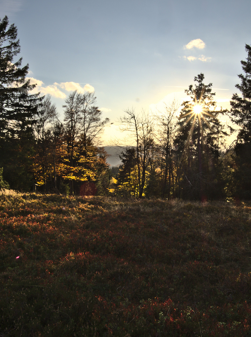 Nachmitags auf dem Kahlen Asten