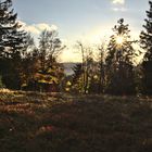 Nachmitags auf dem Kahlen Asten