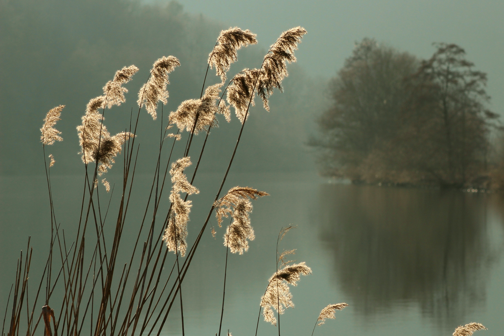 Nachmittag am Fluss