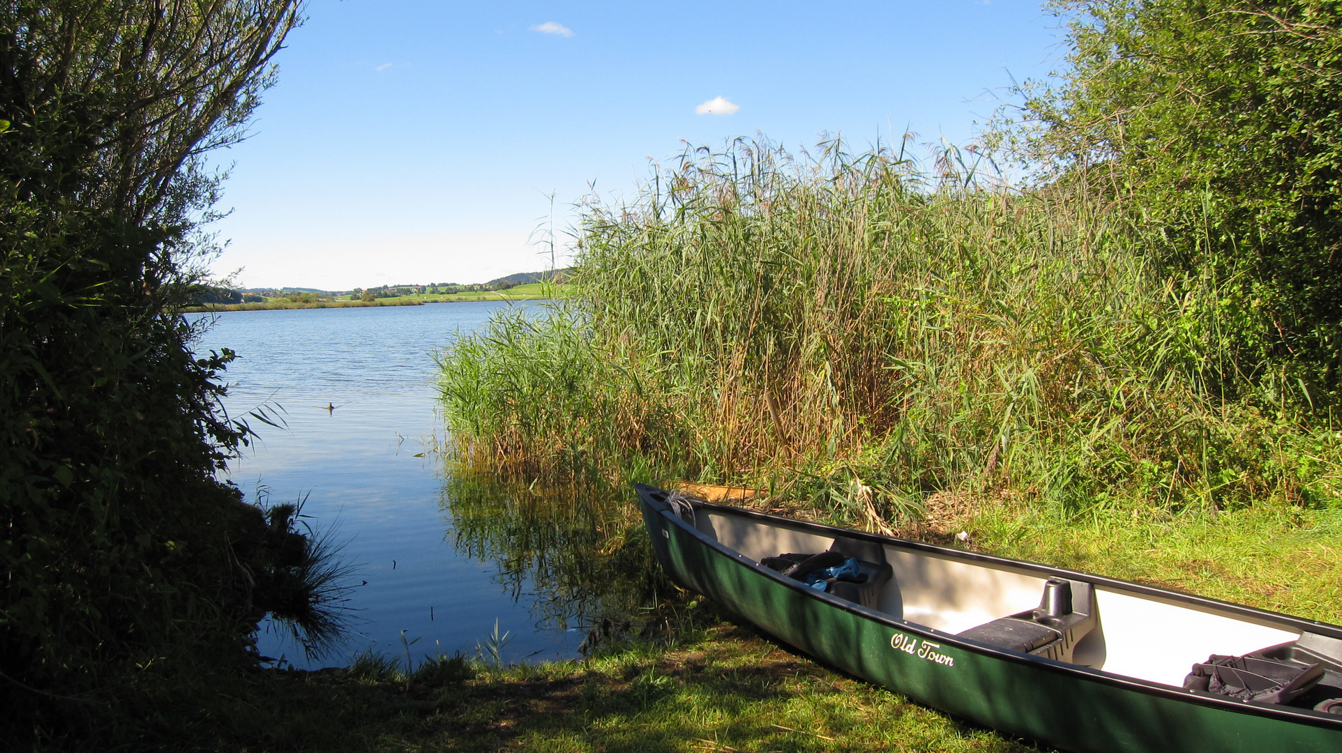 Nachmittag am Hopfensee