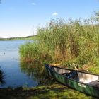 Nachmittag am Hopfensee