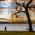 Nachmittag am See