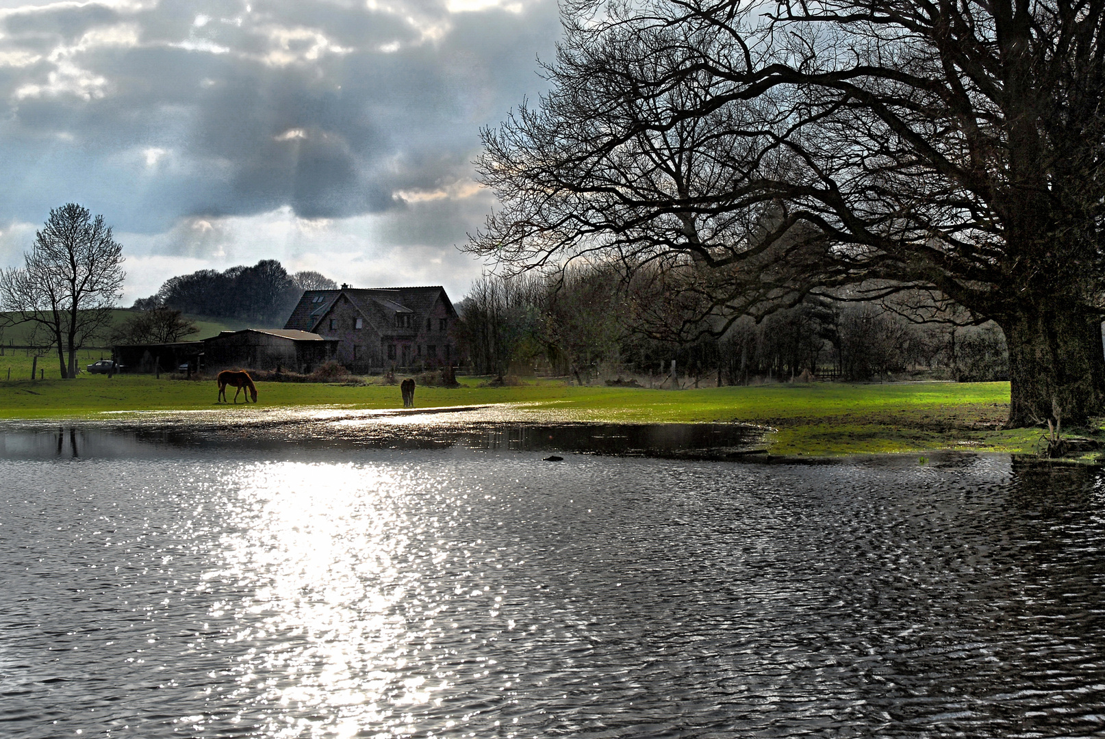 Nachmittag am See