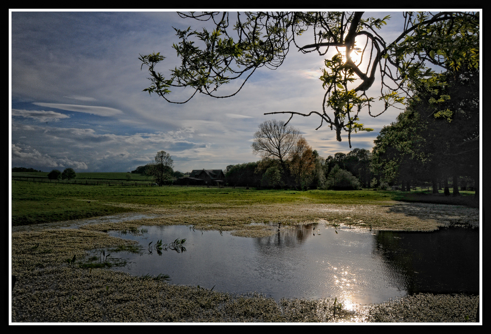 Nachmittag am See