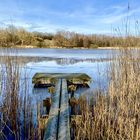 Nachmittag am See