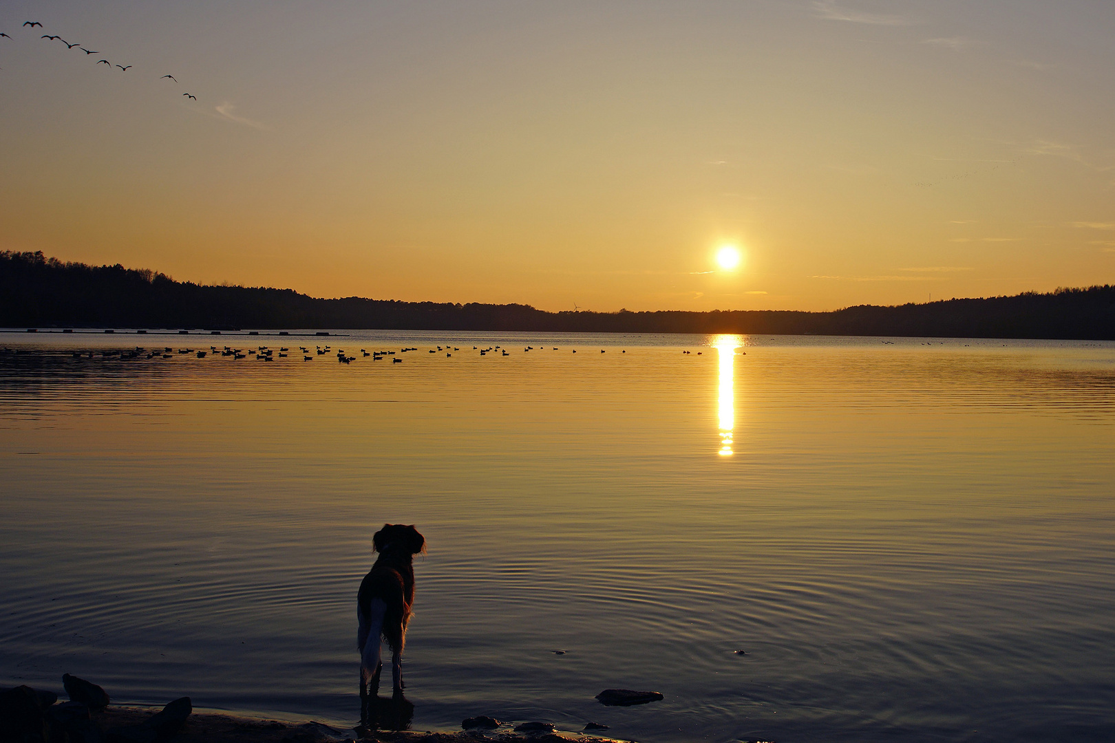 Nachmittag am Silbersee 3