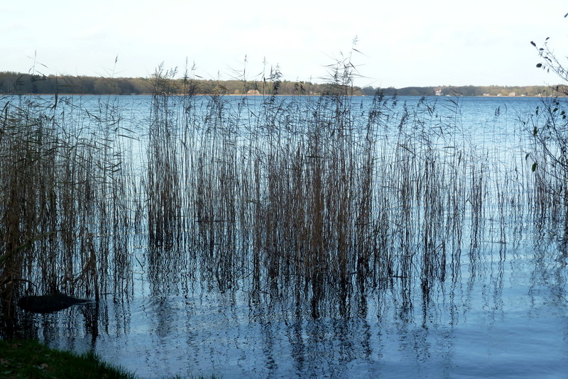 Nachmittag am Zwischenahner Meer