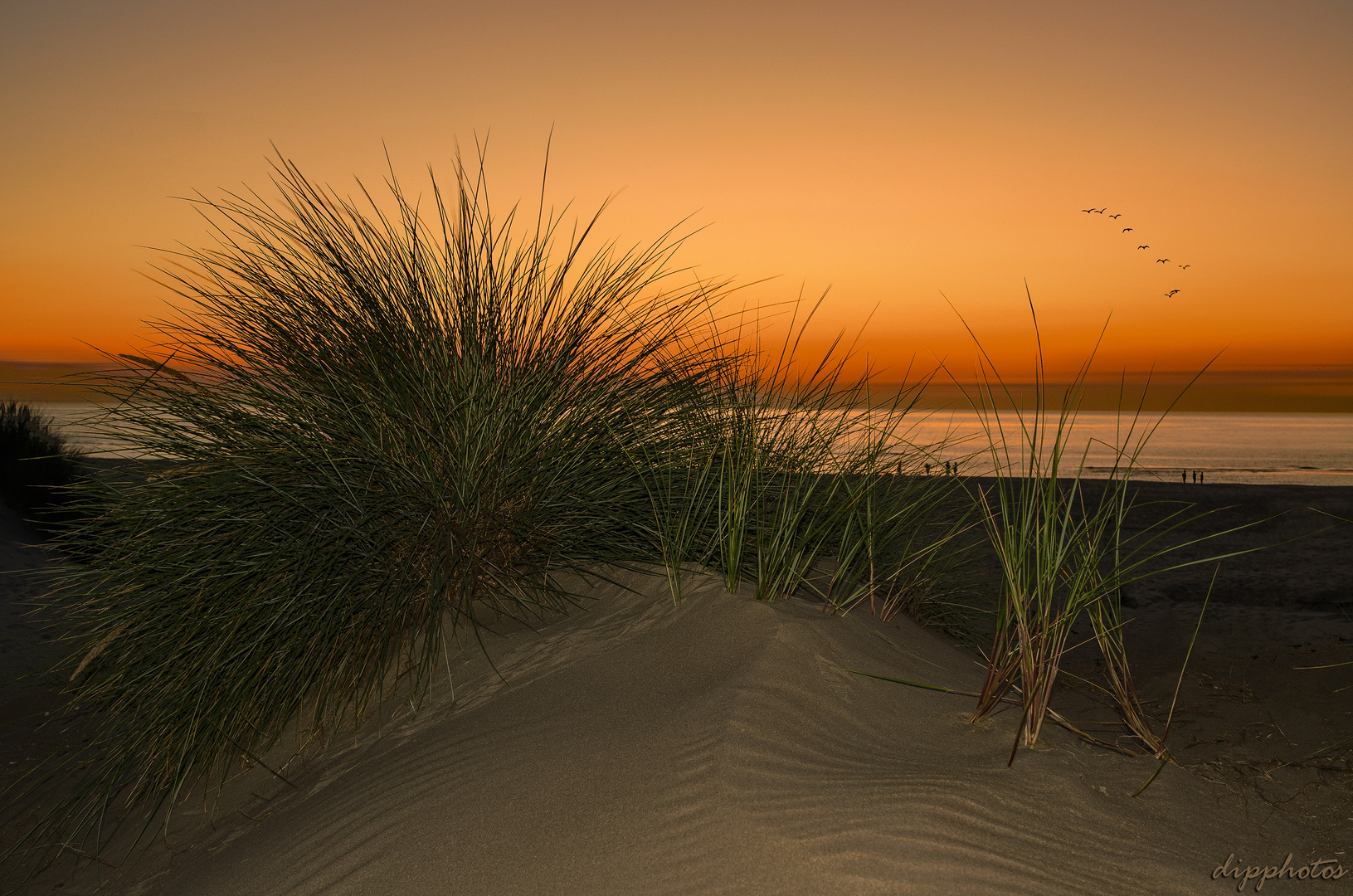 Nachmittag an der Nordsee