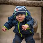 Nachmittag auf dem Waldspielplatz 2