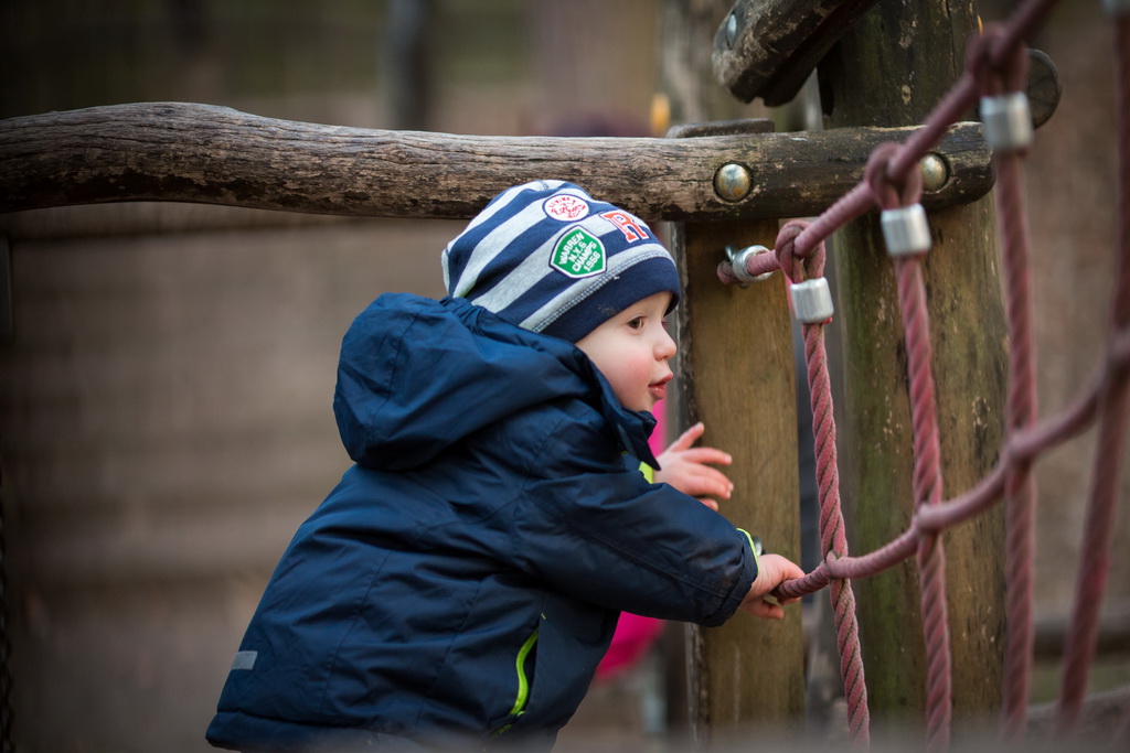 Nachmittag auf dem Waldspielplatz