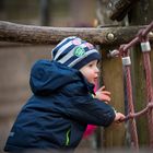 Nachmittag auf dem Waldspielplatz