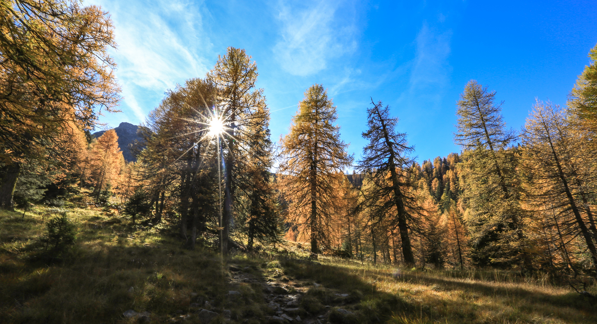 Nachmittag im Binntal (2)