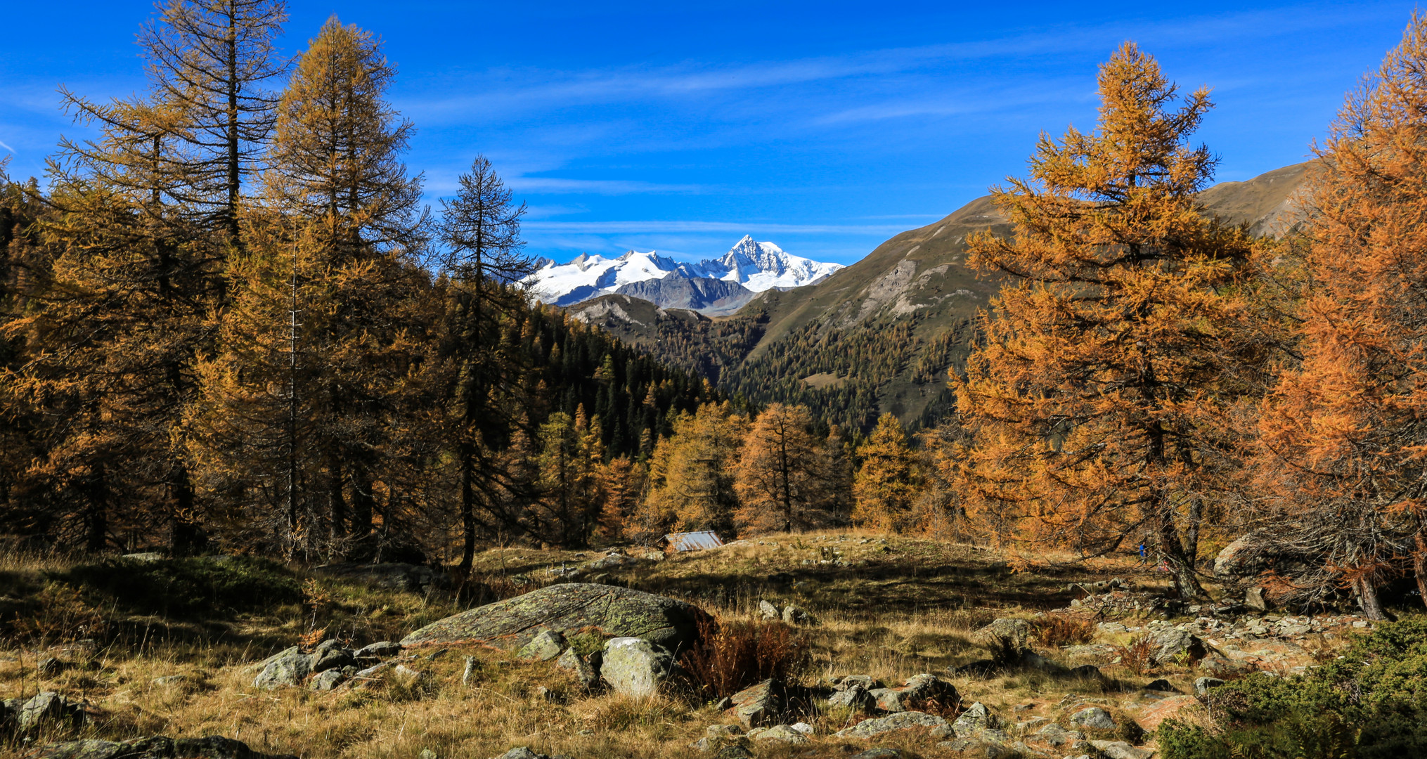 Nachmittag im Binntal