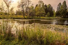 Nachmittag im botanischen Garten