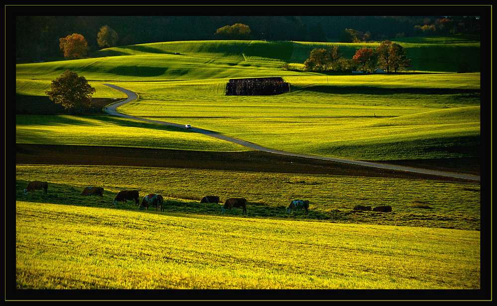 Nachmittag im Herbst