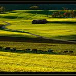 Nachmittag im Herbst