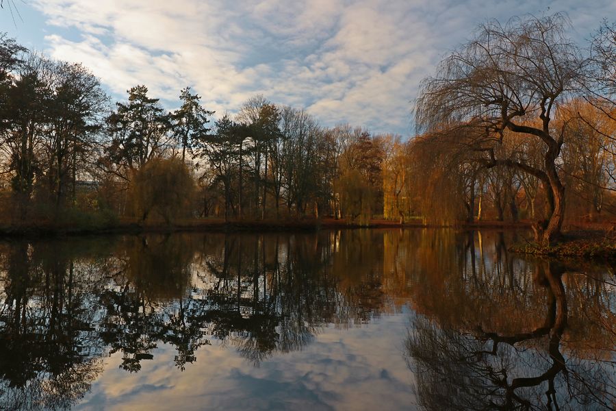 Nachmittag im Park