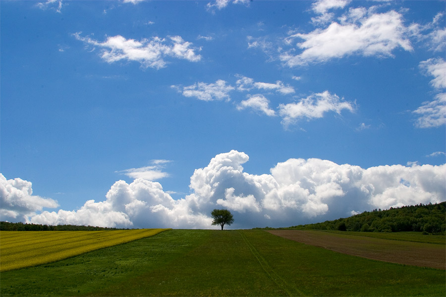 Nachmittag im Sommer