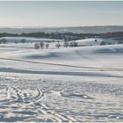 Nachmittag im Winter