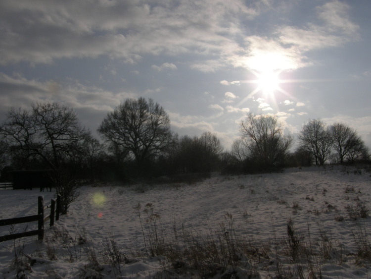 Nachmittag im Winterlicht!