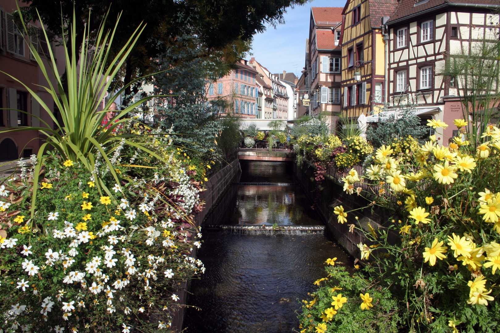 Nachmittag in Colmar...