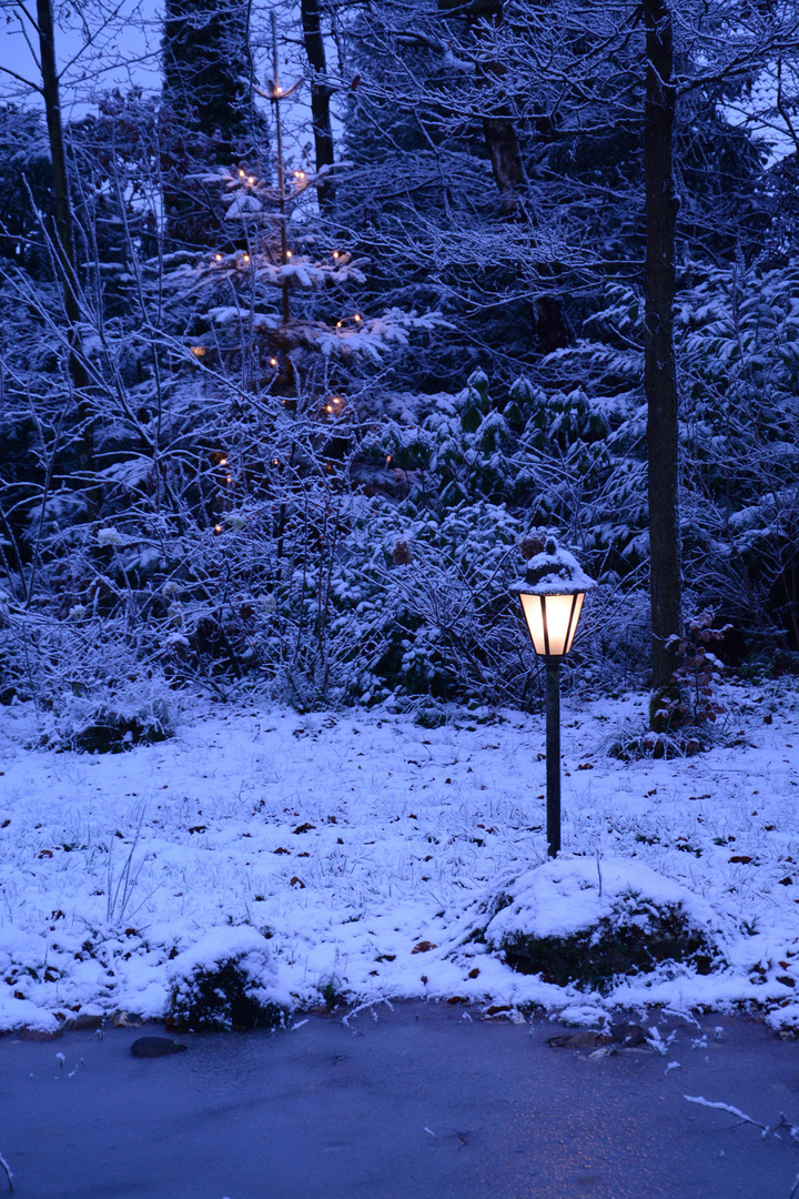 Nachmittag in meinem Garten