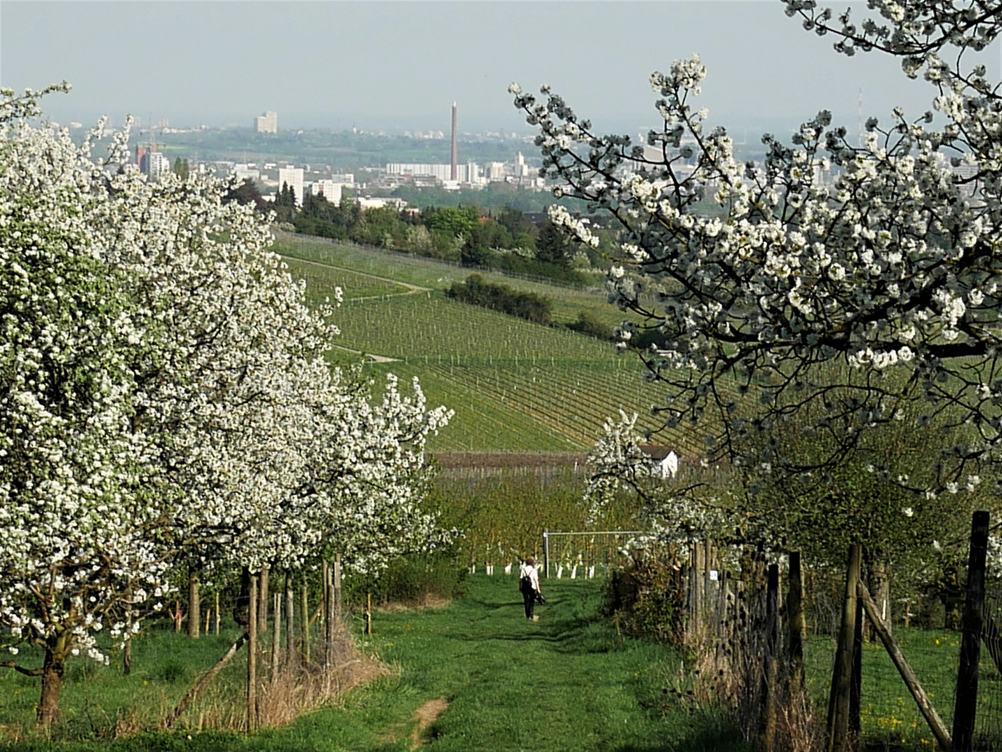 Nachmittag um 5:30h (Sommerzeit)