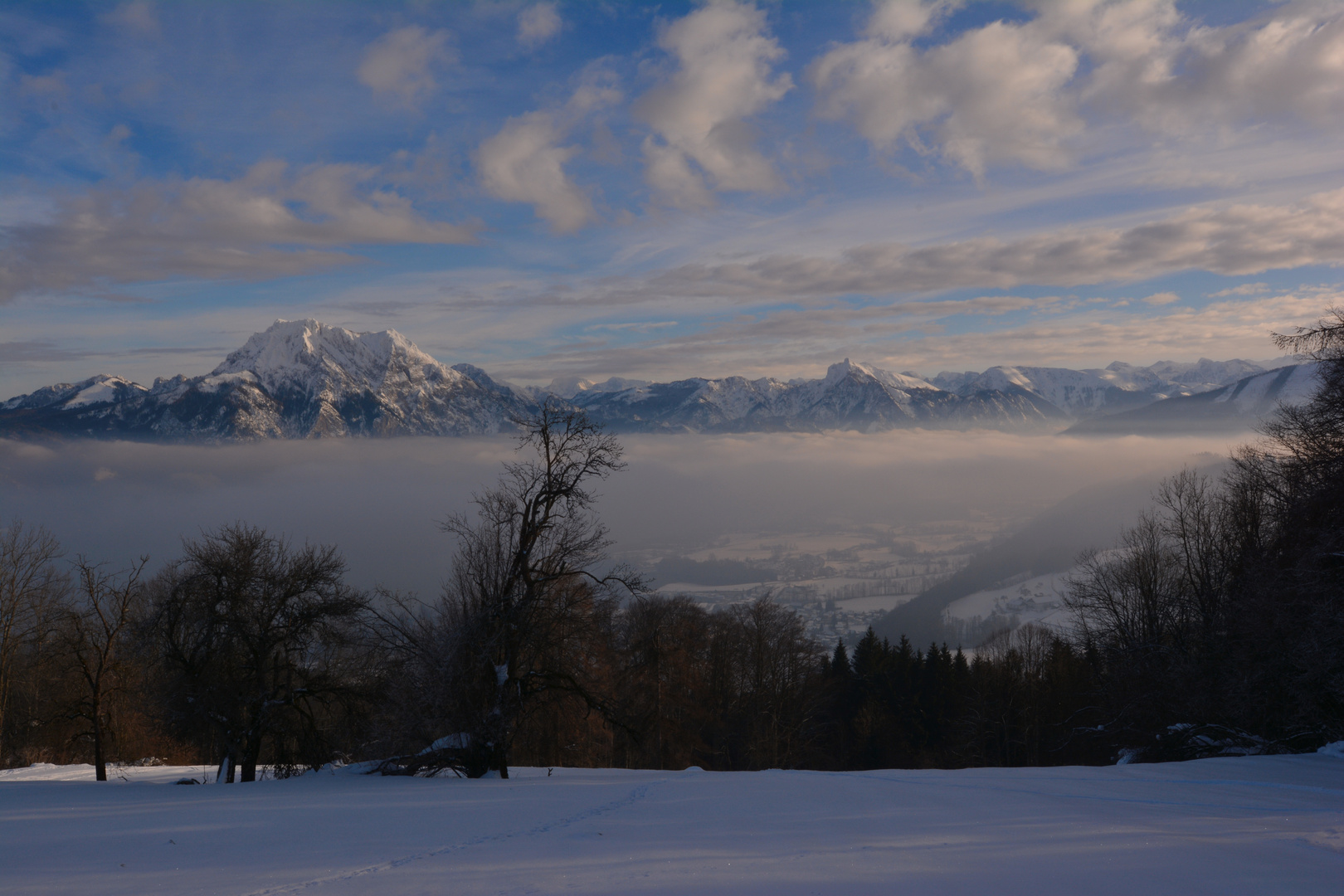 Nachmittags am Gmundnerberg...