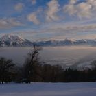 Nachmittags am Gmundnerberg...