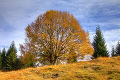 Nachmittags am Kranzberg