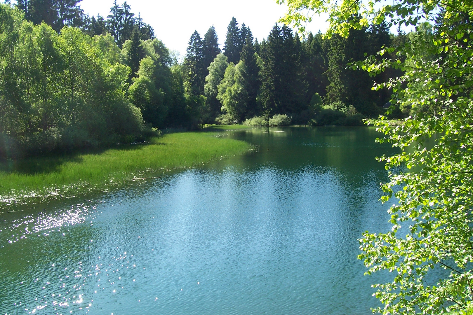 Nachmittags am Lakenteich im Solling