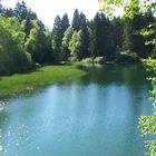 Nachmittags am Lakenteich im Solling