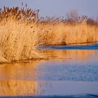 Nachmittags am Neusiedler See