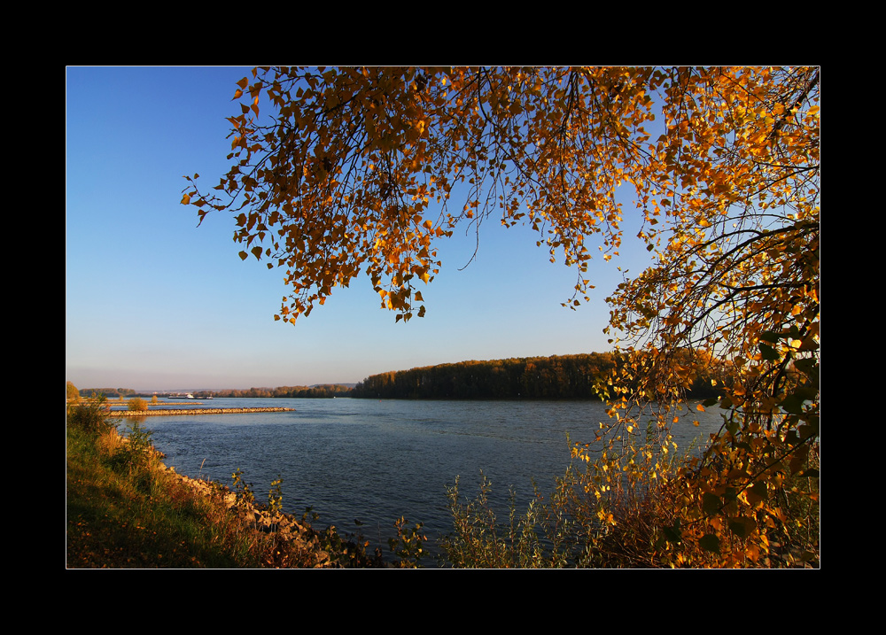 Nachmittags am Rhein