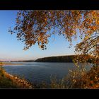 Nachmittags am Rhein