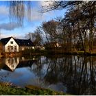 nachmittags am See