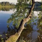 Nachmittags am See