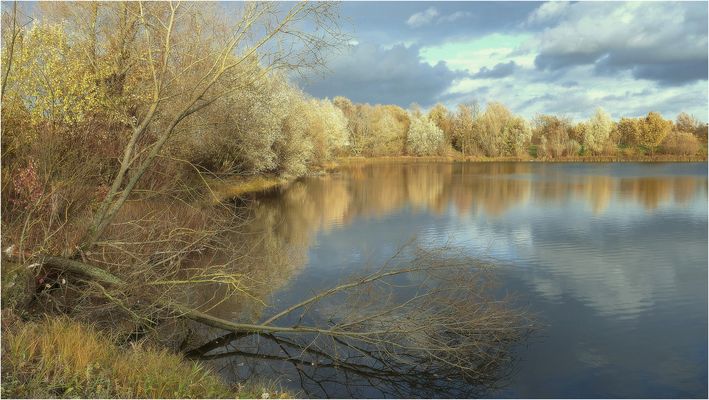 Nachmittags am Teich